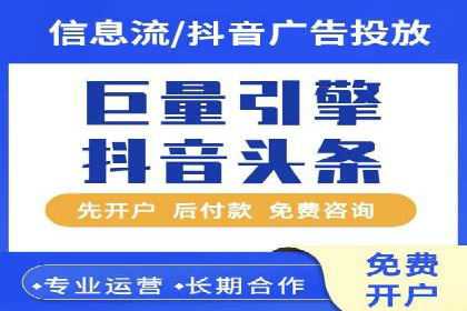 XX领域竞价广告的投放策略及效果展示